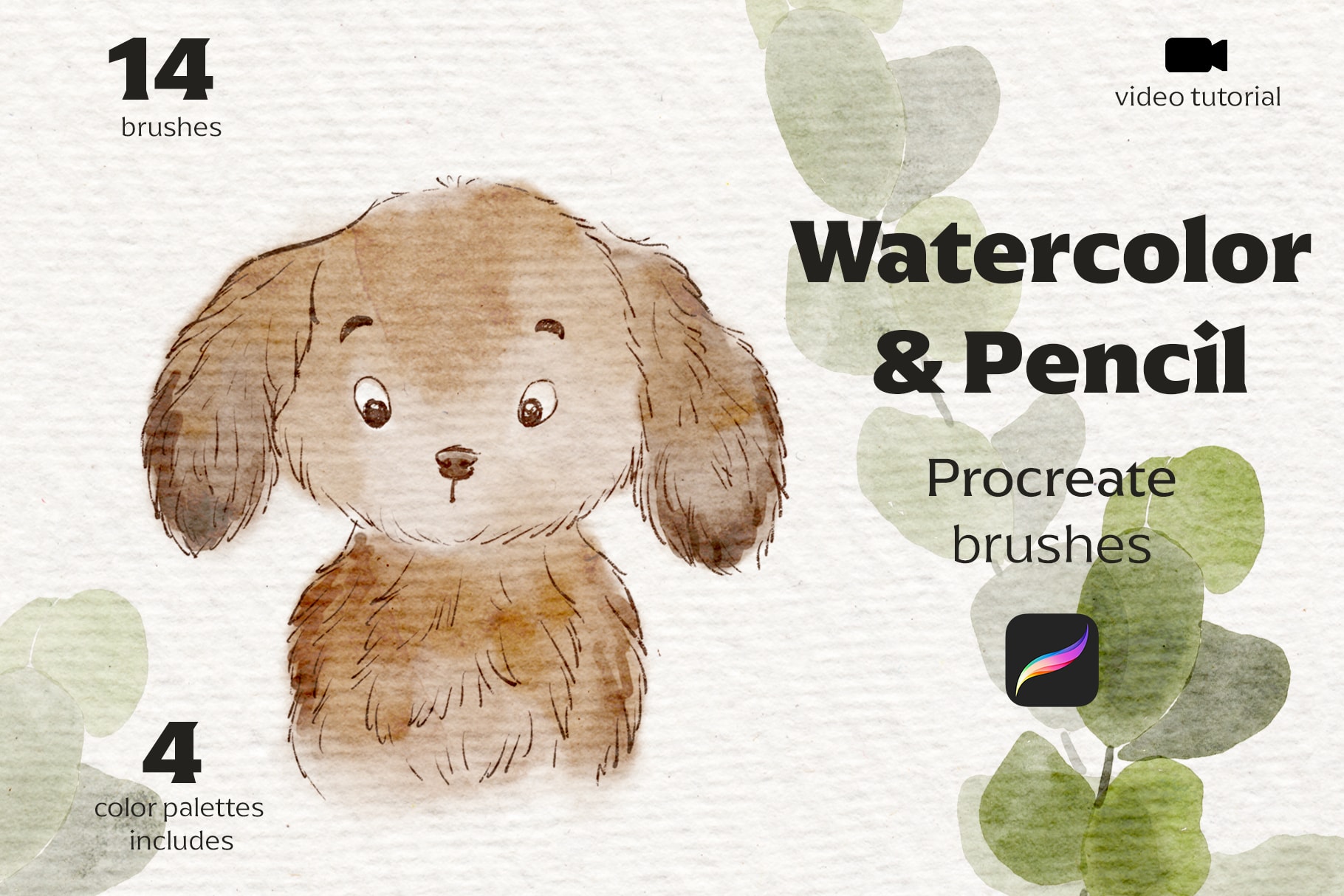 19 Watercolor & Pencil Brushes