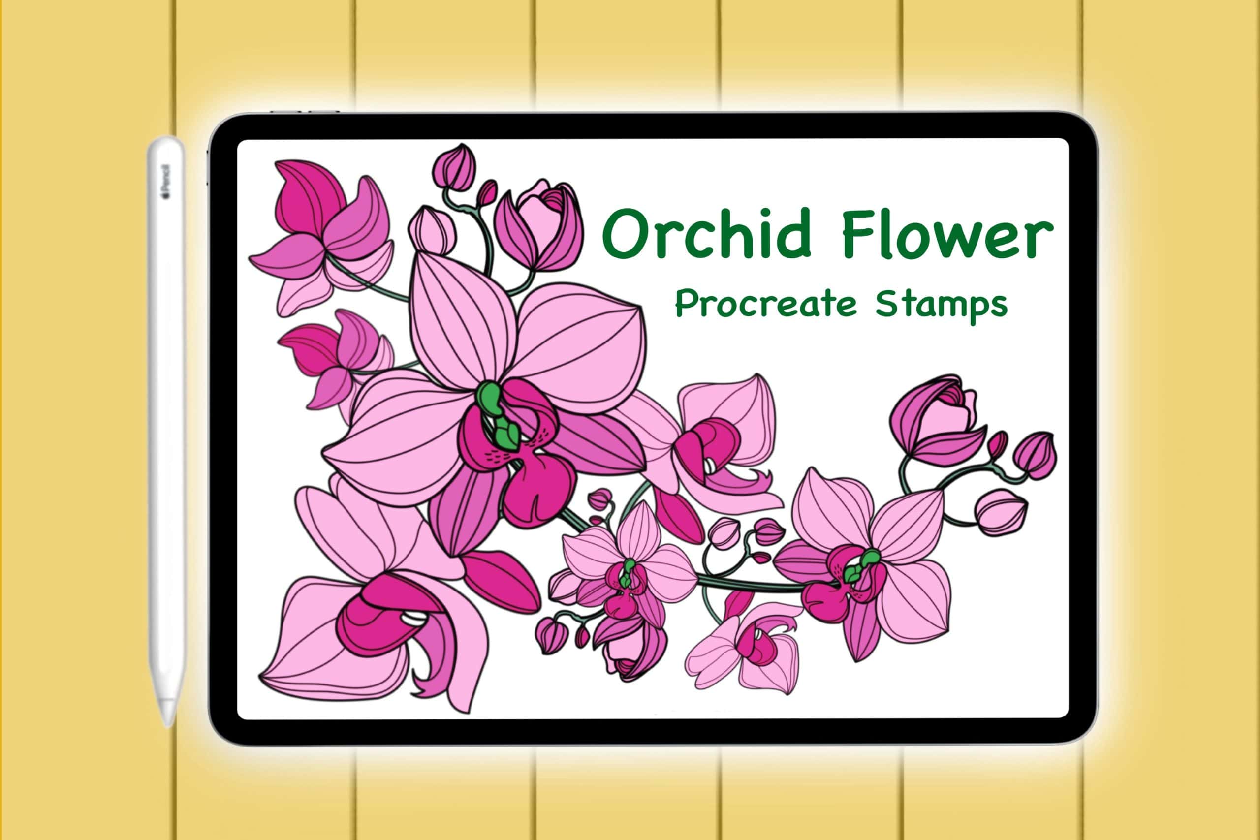 Orchid Floral Doodle Brushes