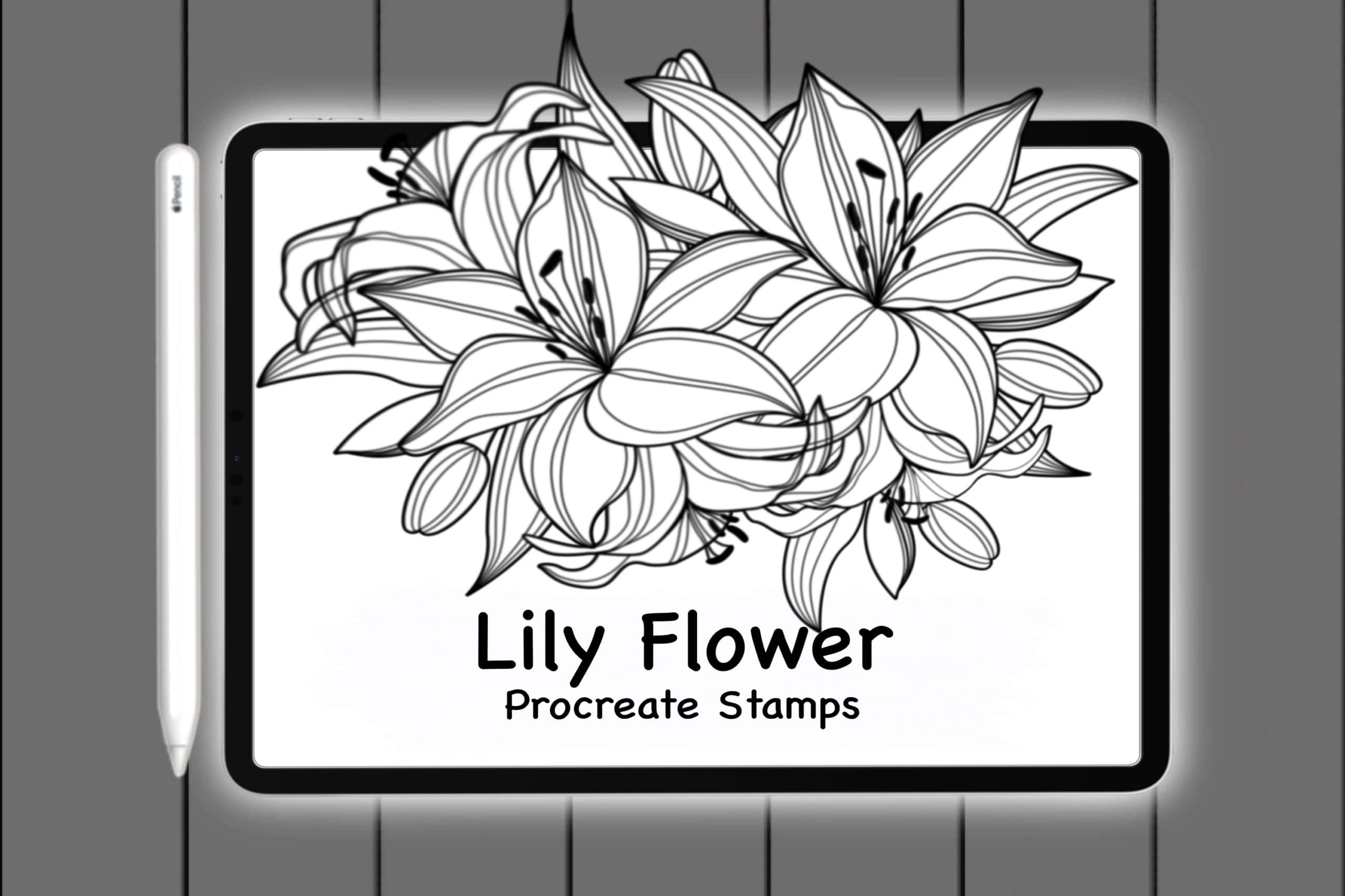 Procreate Lily Flower Doodle Brush Stamps