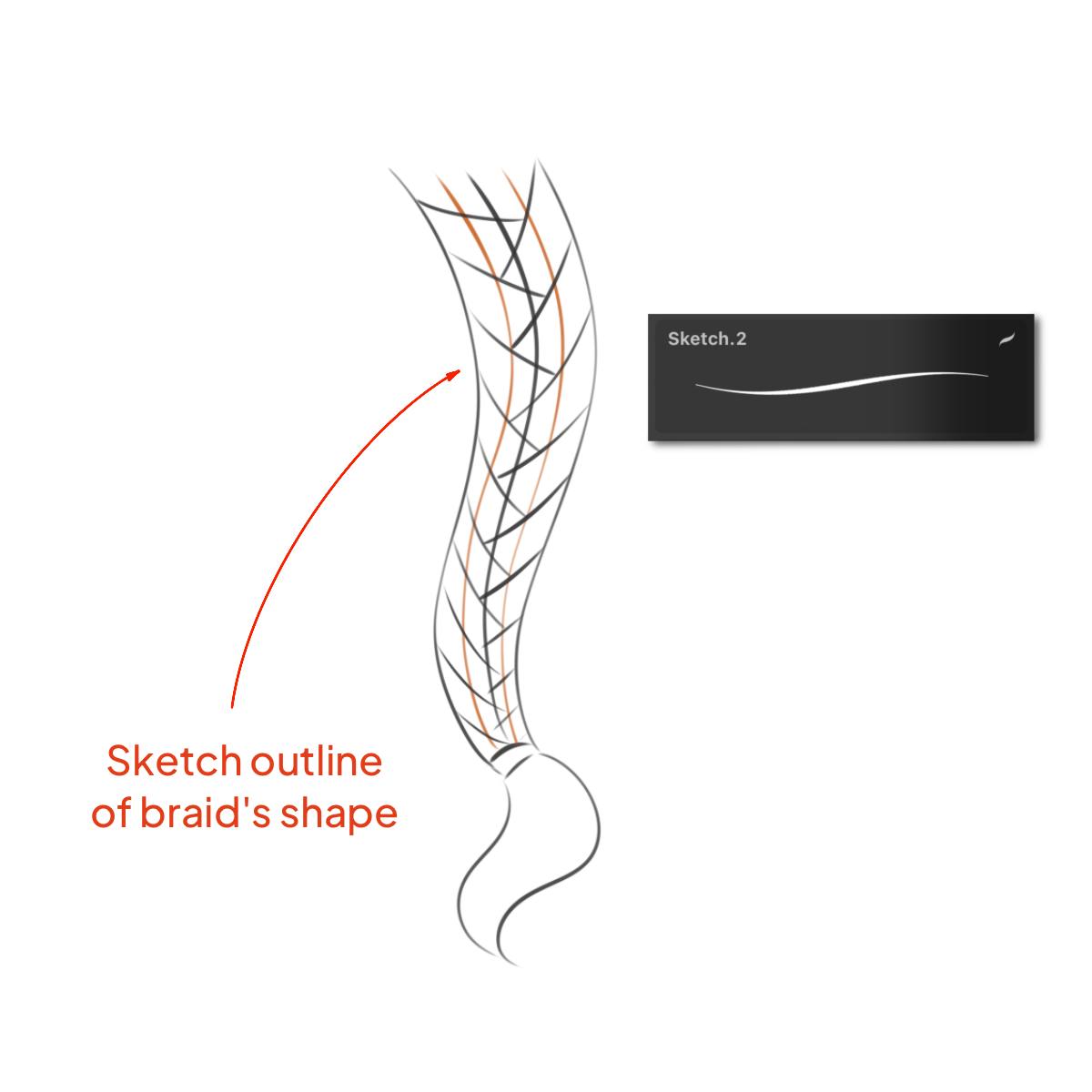 A braid hair sketch drawn in the Procreate application