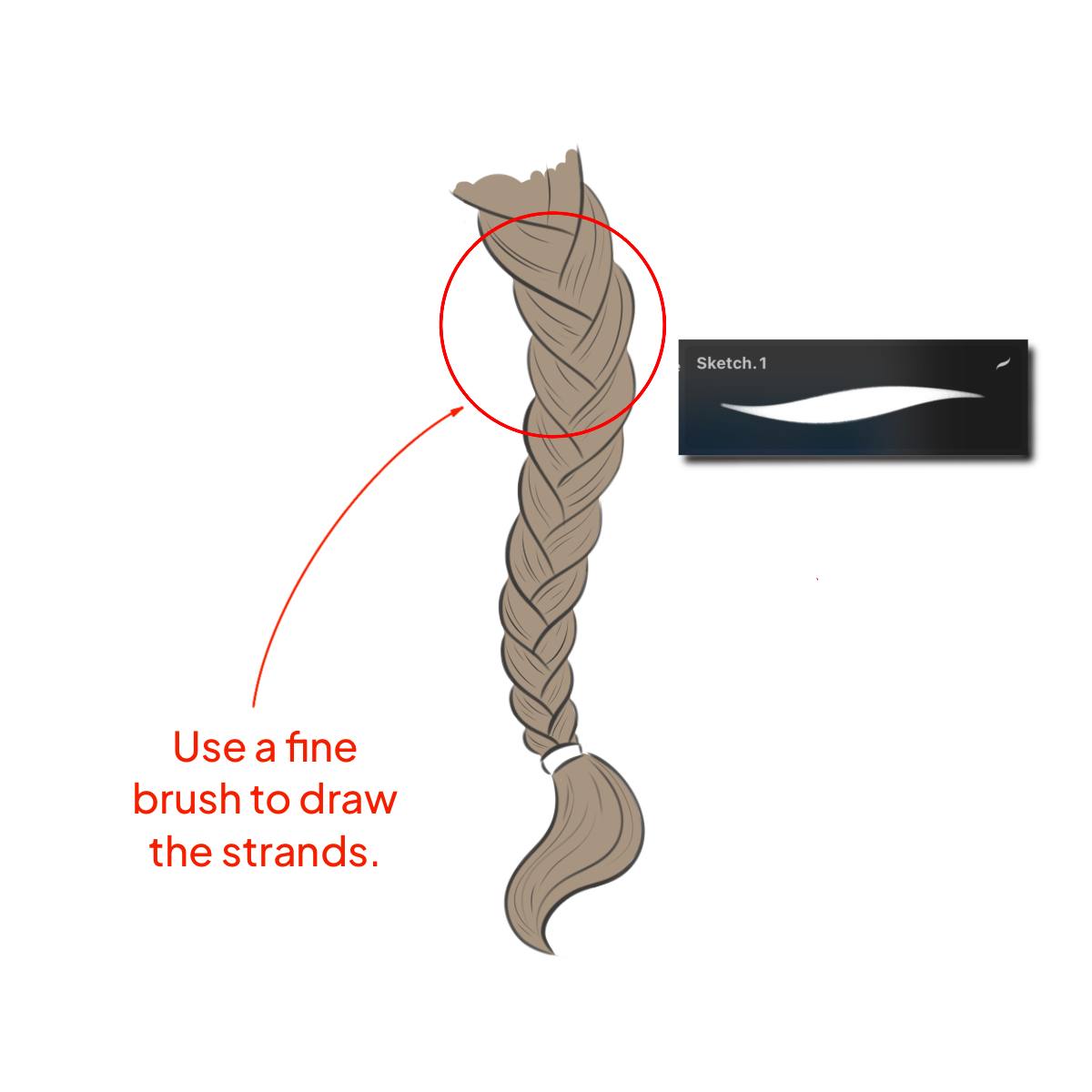 A braid strands drawn in the Procreate application