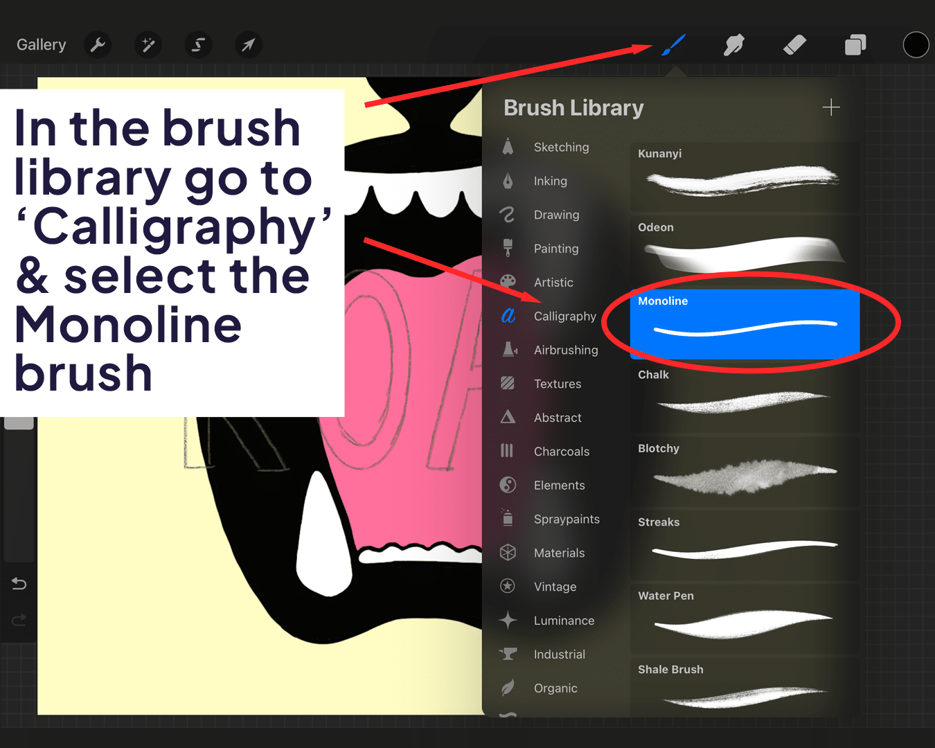 Brush library options