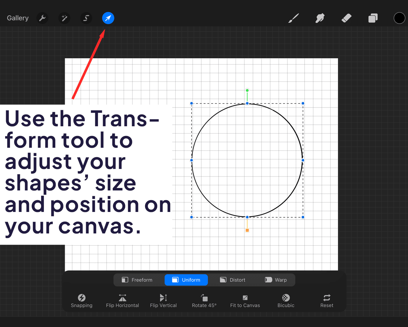 Using transform tool to adjust shape size