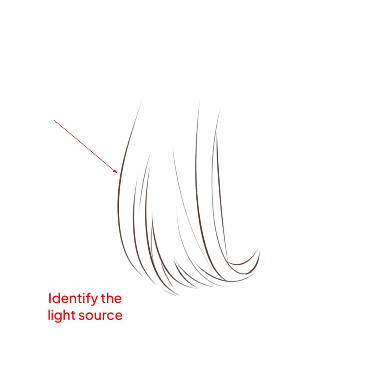 Hair sketch drawn in Procreate application