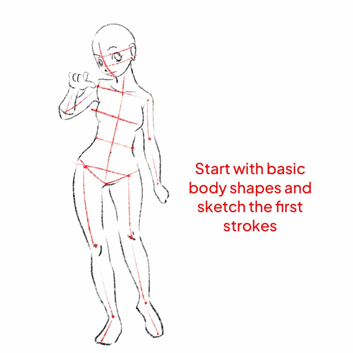 Basic body shapes