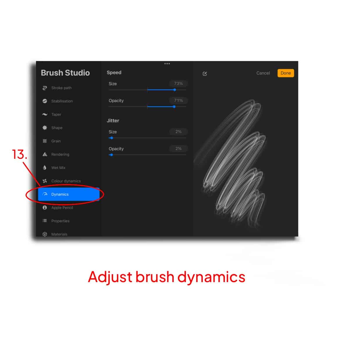 Brush dynamics 