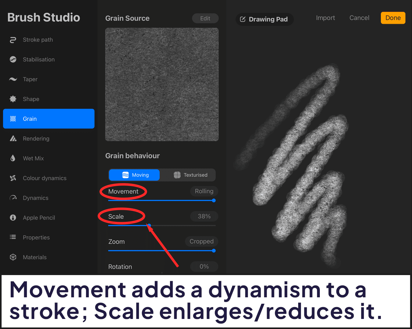 Movement and Scale dynamism 