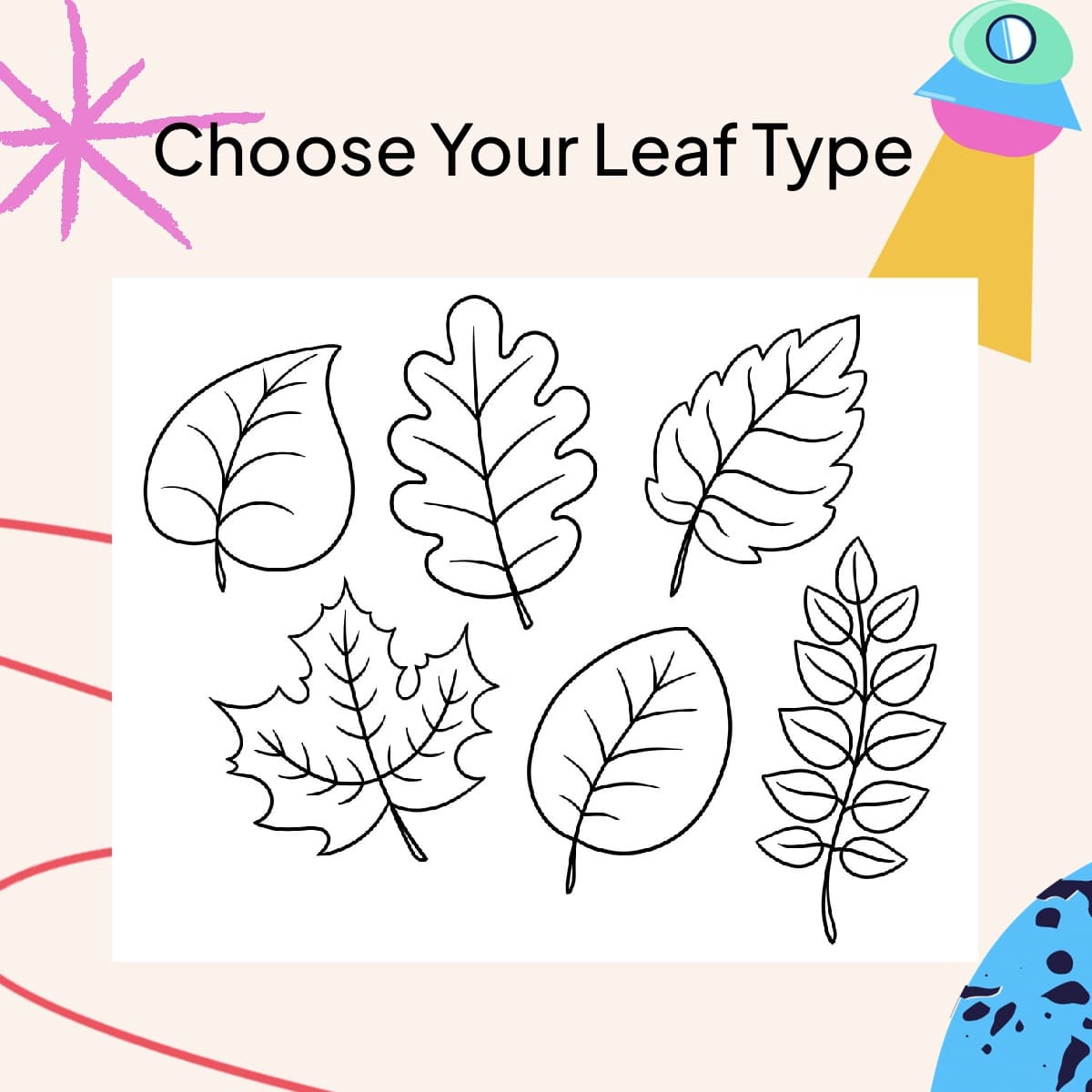 Choose Your Leaf Type
