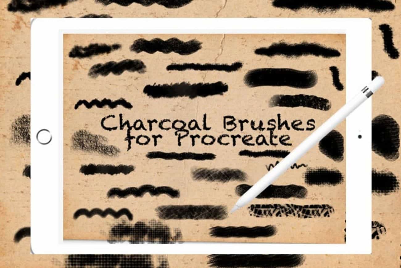 60 Charcoal Brushes