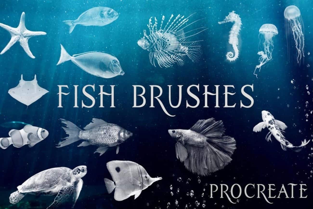 Fish Brushes(15)