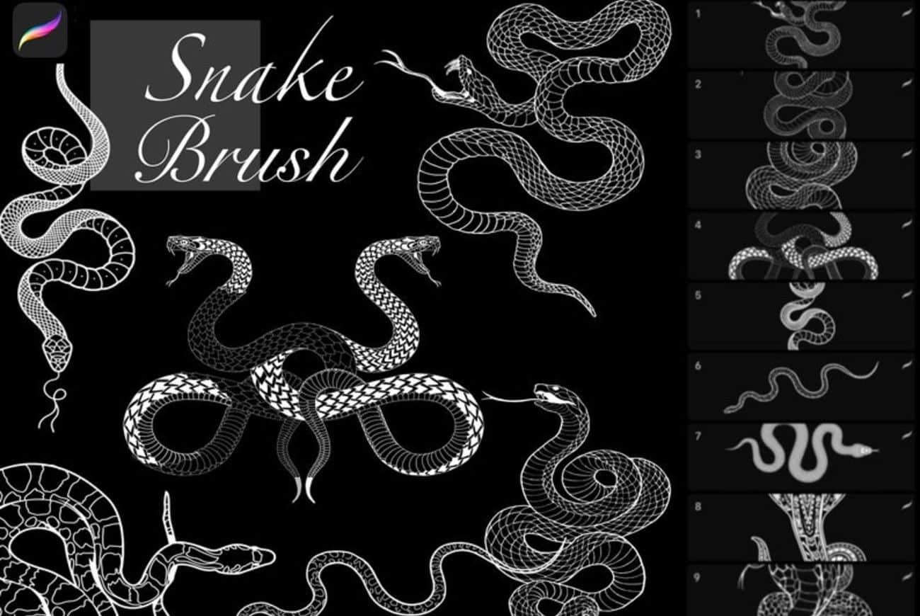 10 Stamp Snake Brush