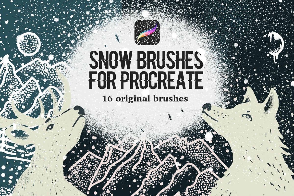 34 Snow Brushes