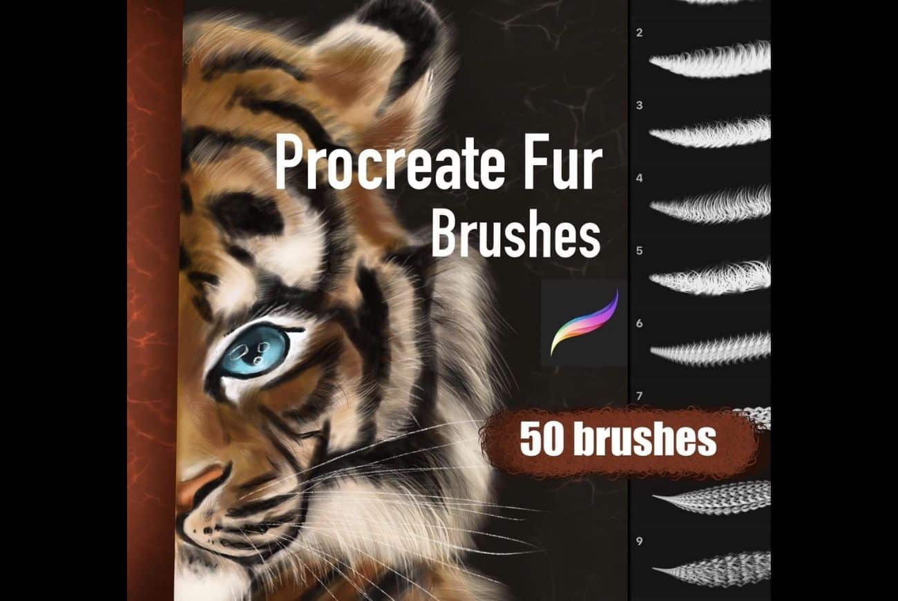 50 Fur Brushes