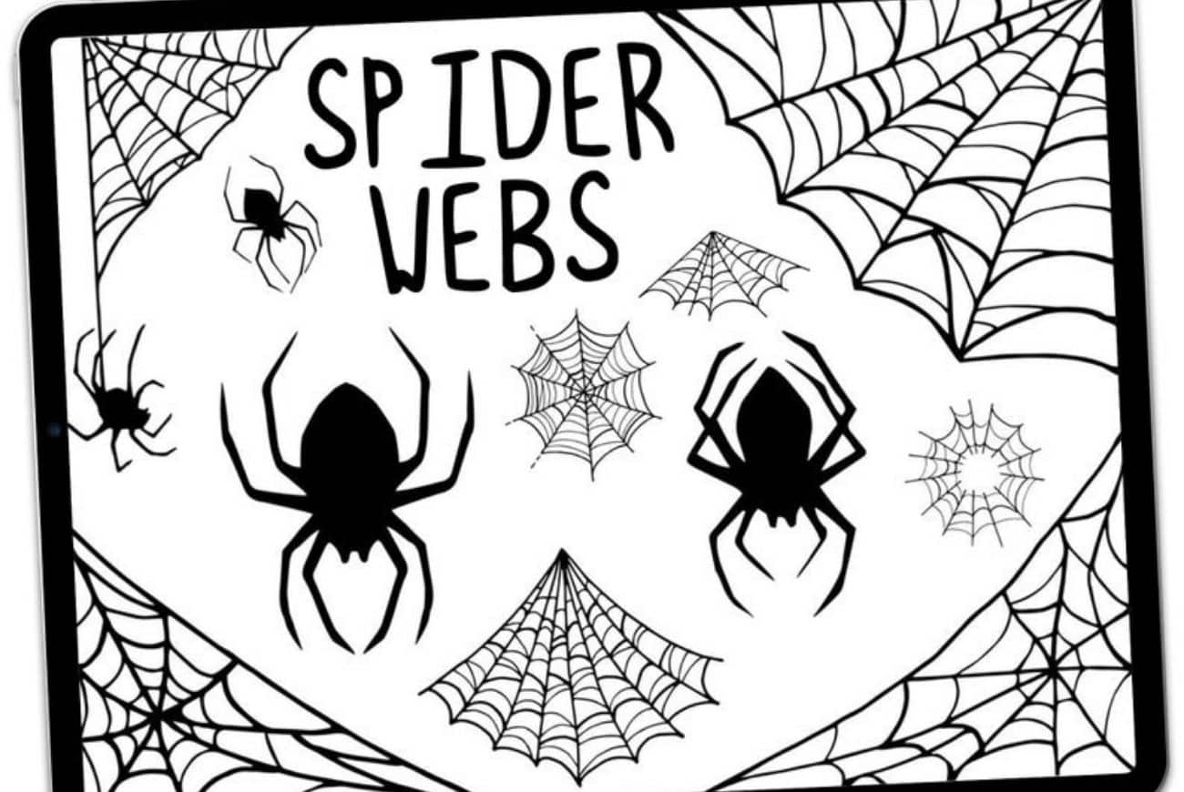 Procreate Spiderweb Stamps