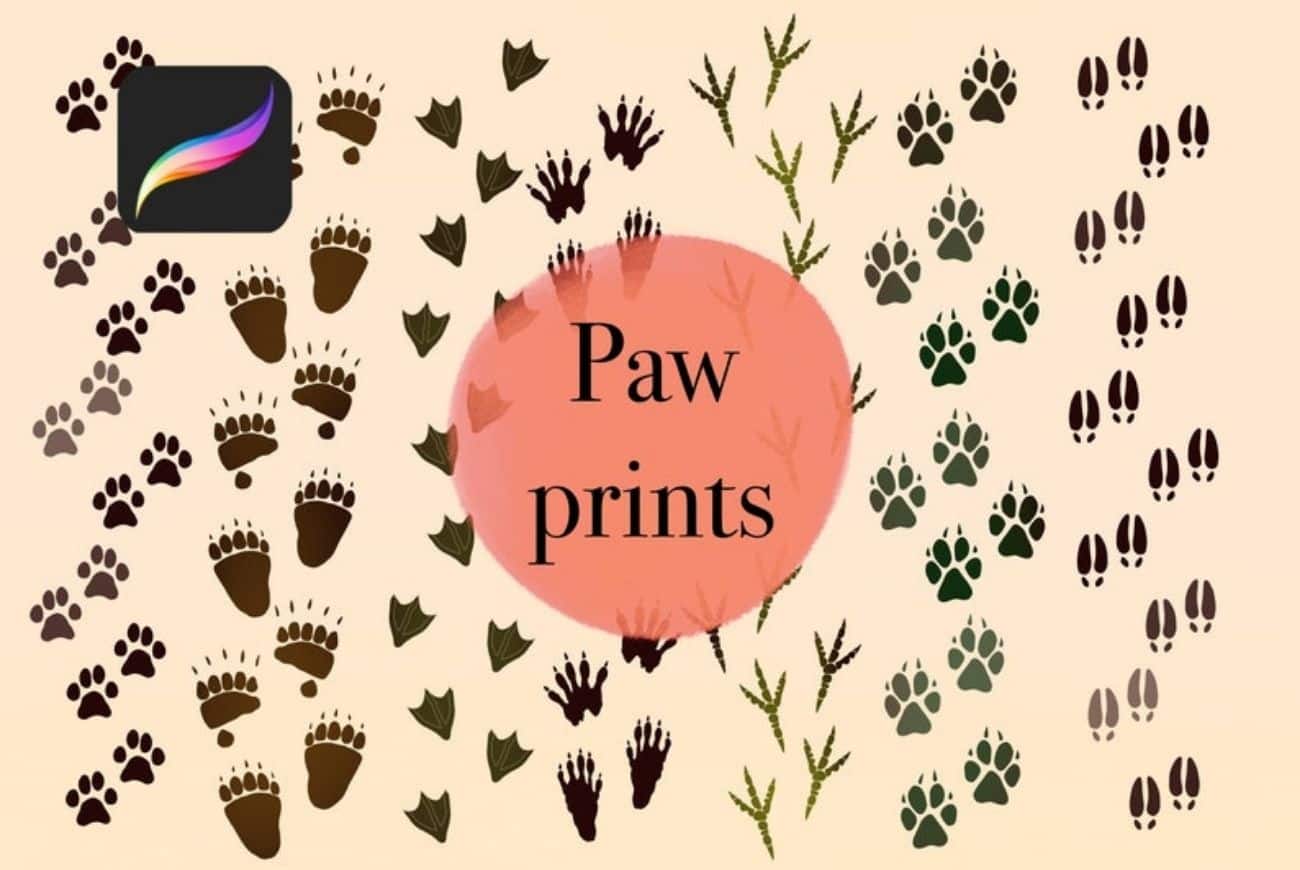14 Animal Paw Print Stamps