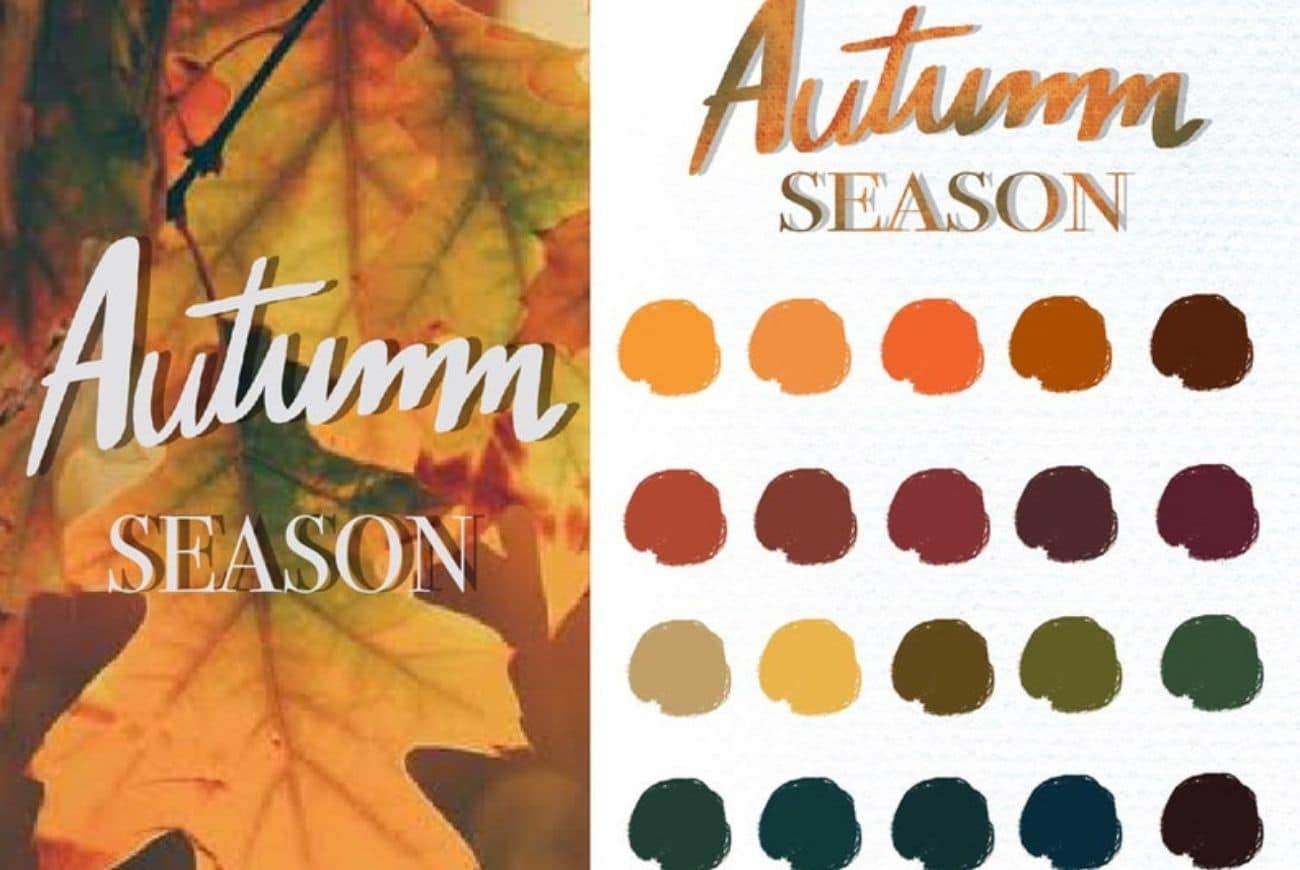 Autumn Season Swatches