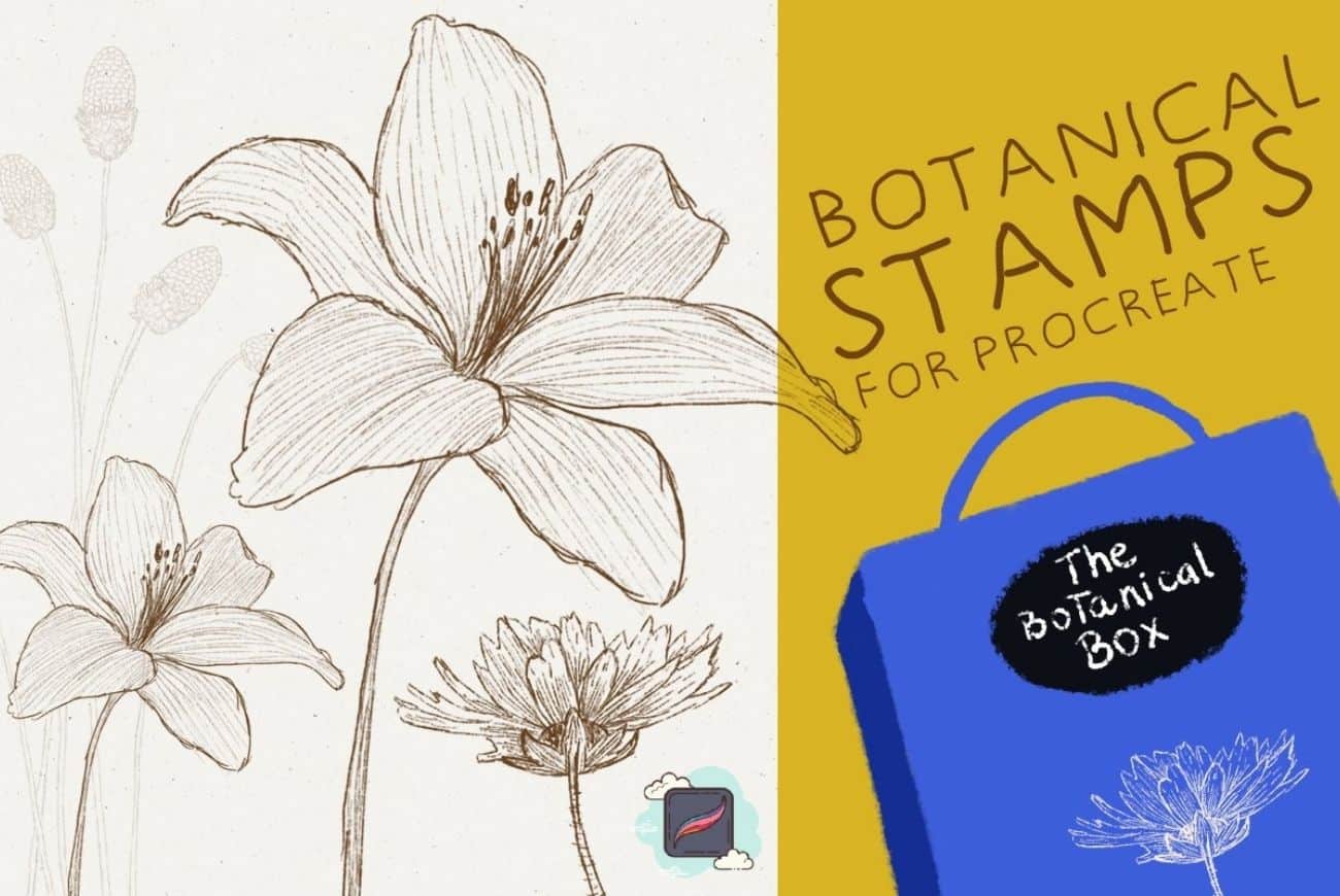 The Procreate Botanical Box