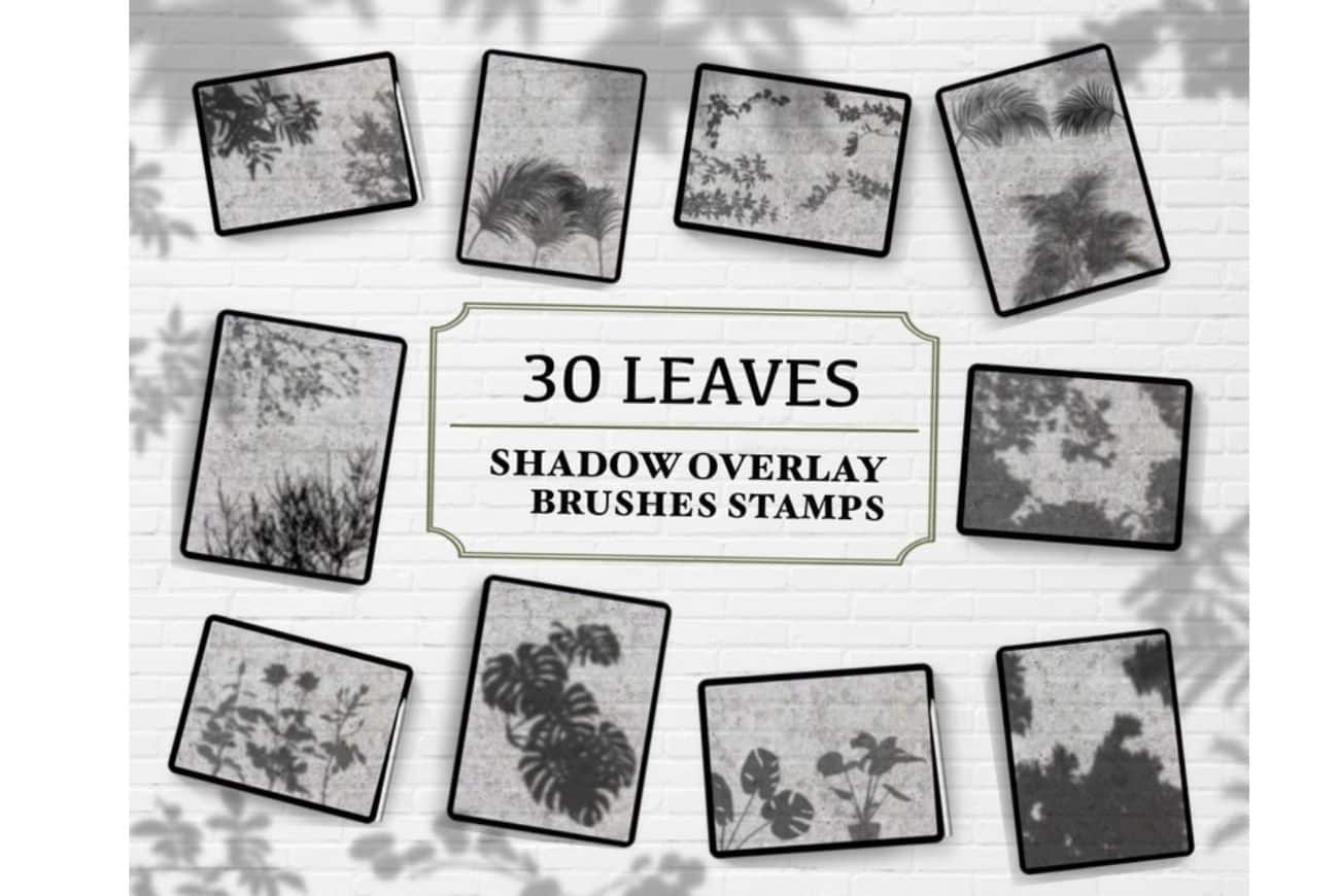 30 ProcreateLeaves Shadow Overlay BrushStamps