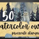 50 Watercolor Owl Procreate Stamps