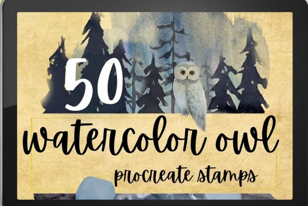 50 Watercolor Owl Procreate Stamps
