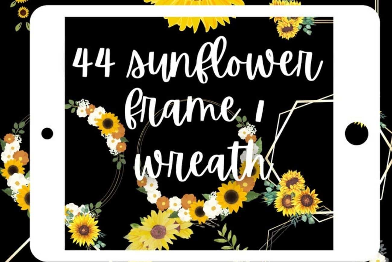 44 Sunflower Frame Procreate Stamps