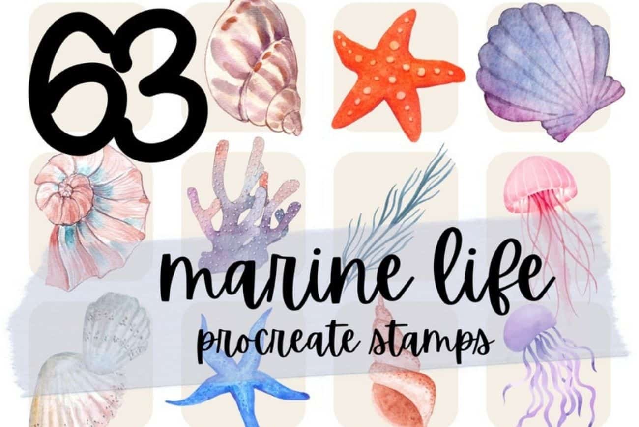 63 Marine Life Procreate Stamp Brushes