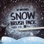 Snow Brush Pack