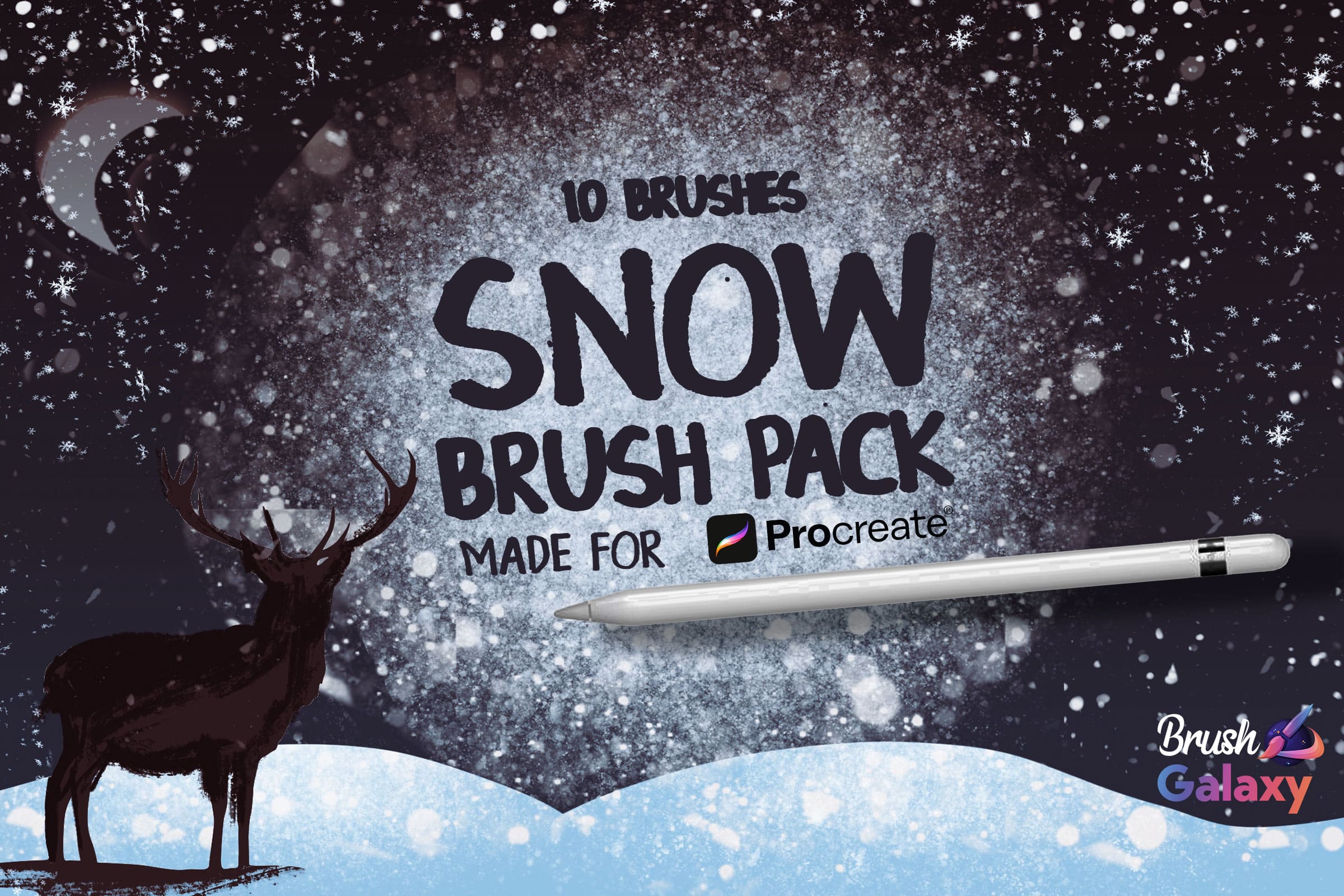 Snow Brush Pack